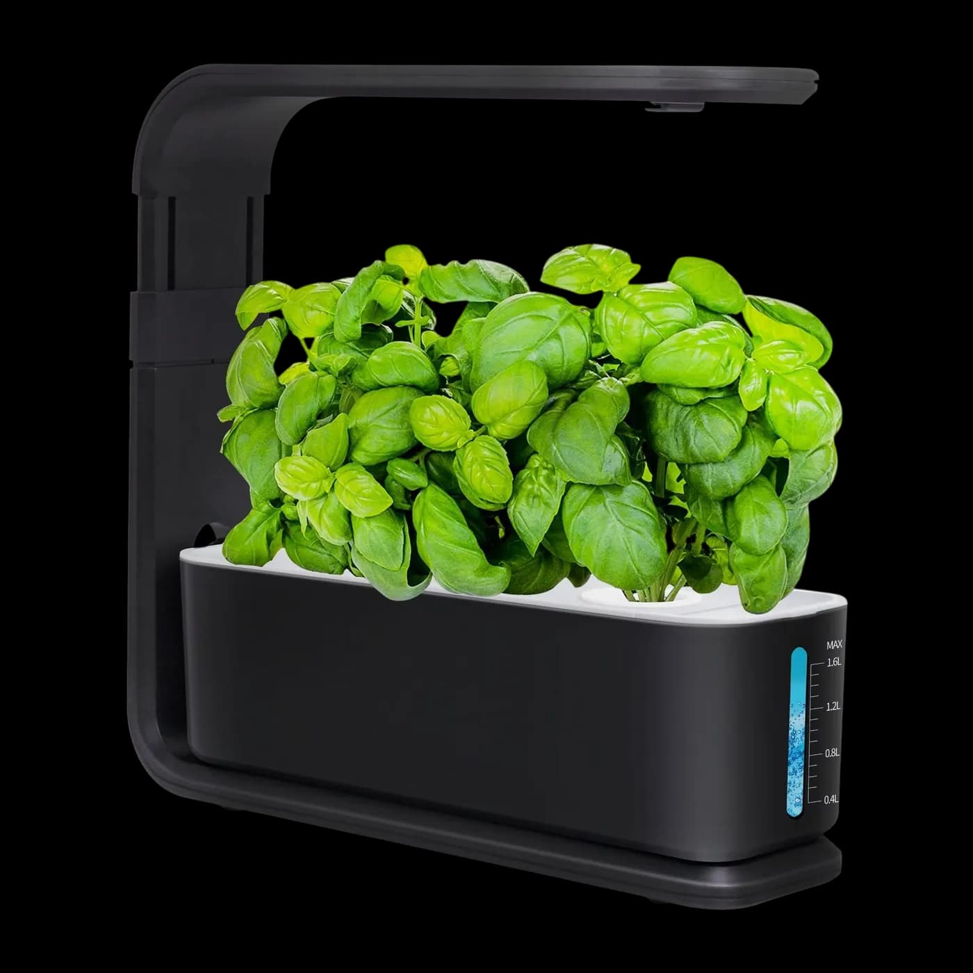 Desktop Teaching Kit, planted