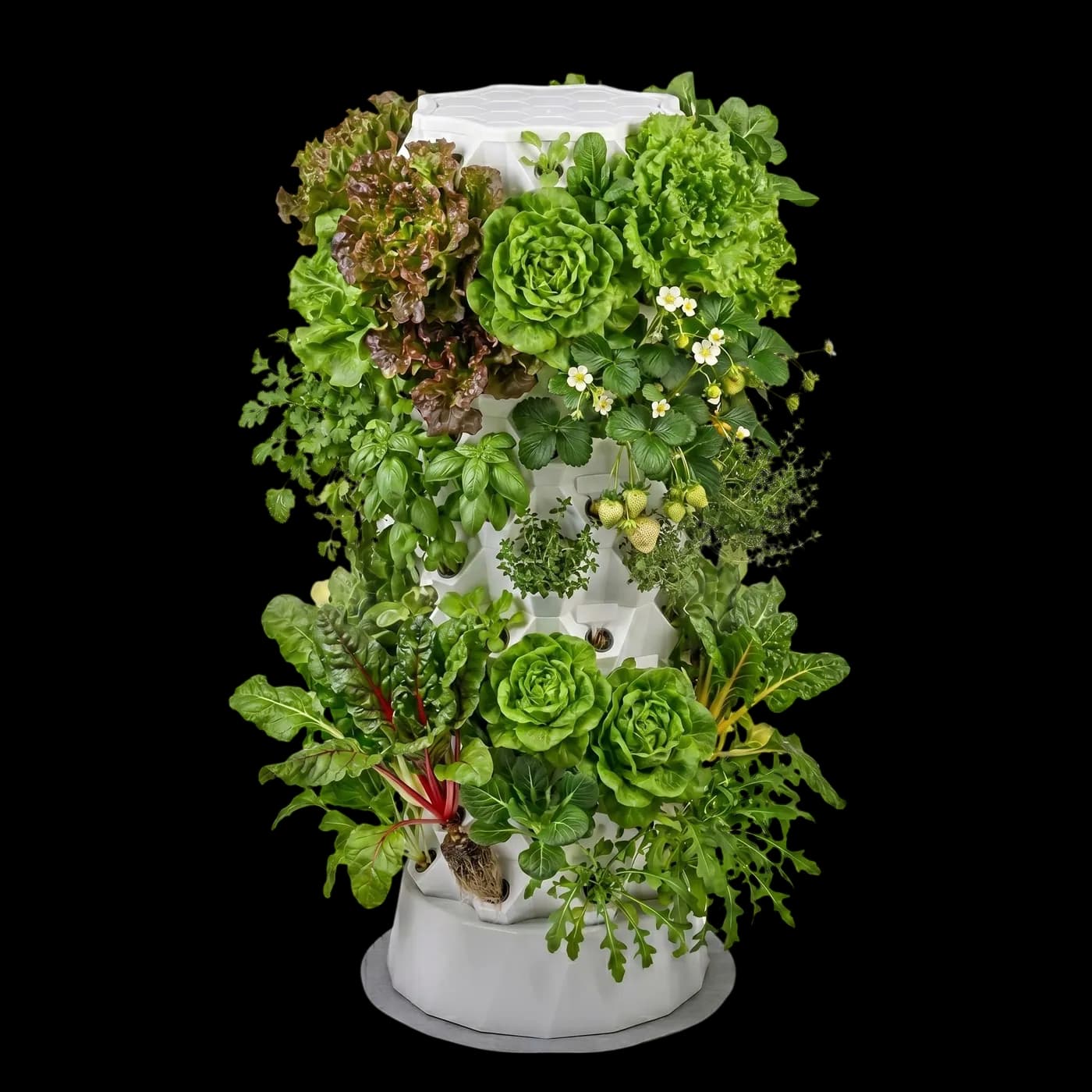 Aeroponic Tower — Pineapple, planted