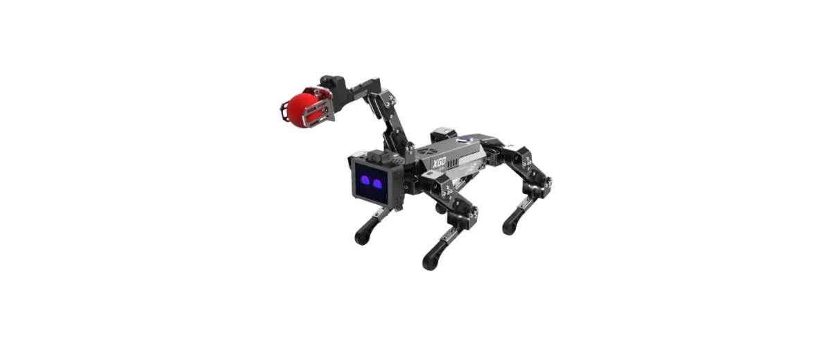 Legged Robots