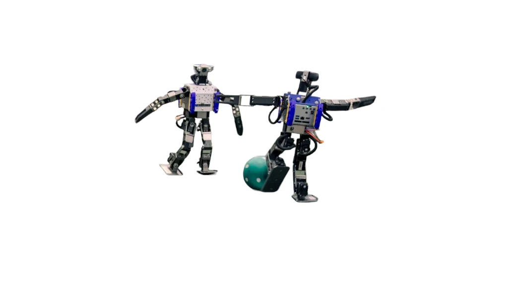 Humanoid Robot