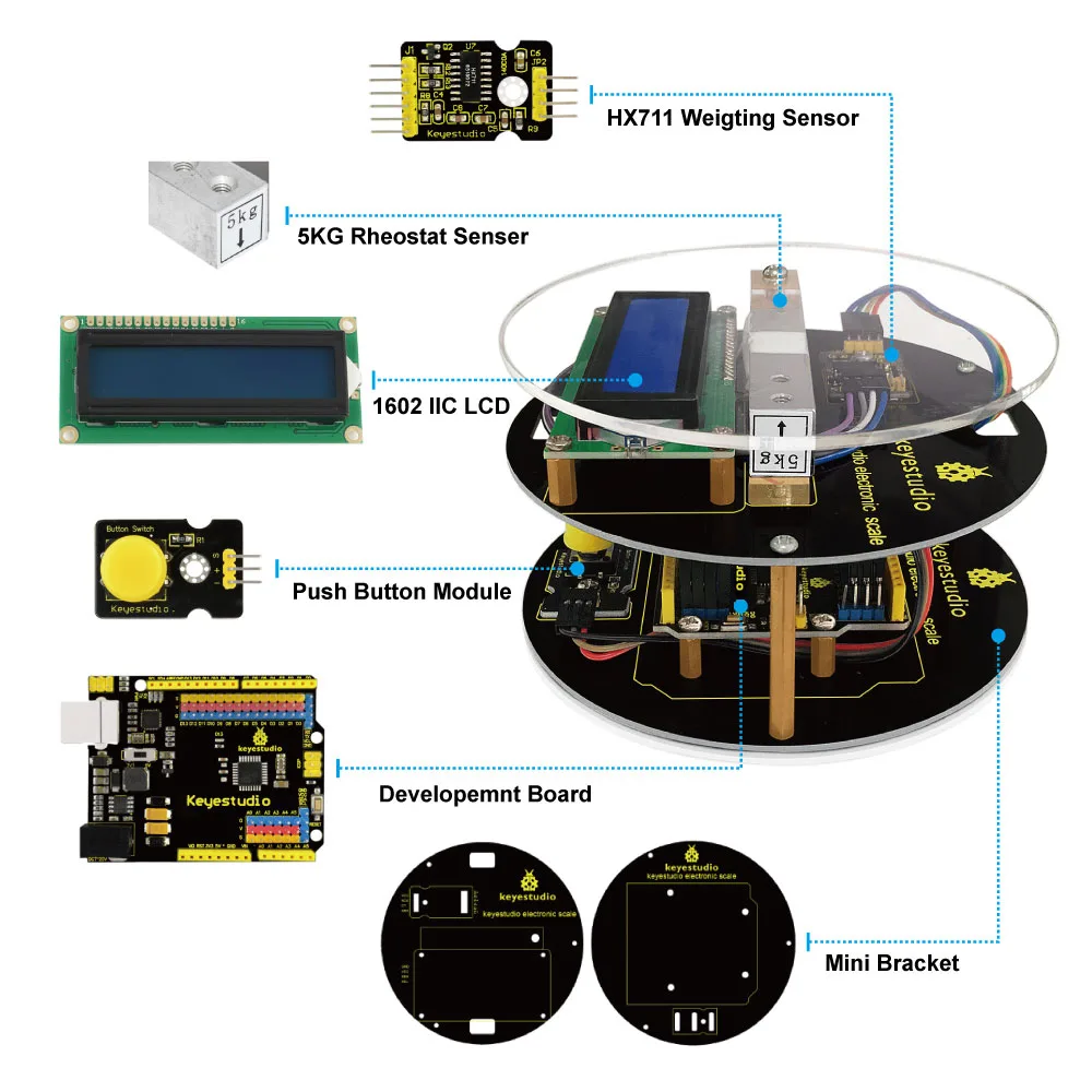 Build your own digital scale