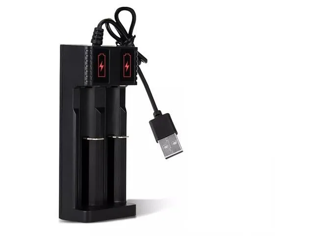 Dual-Slot USB Smart Lithium Battery Charger, 4.2V 1000mA