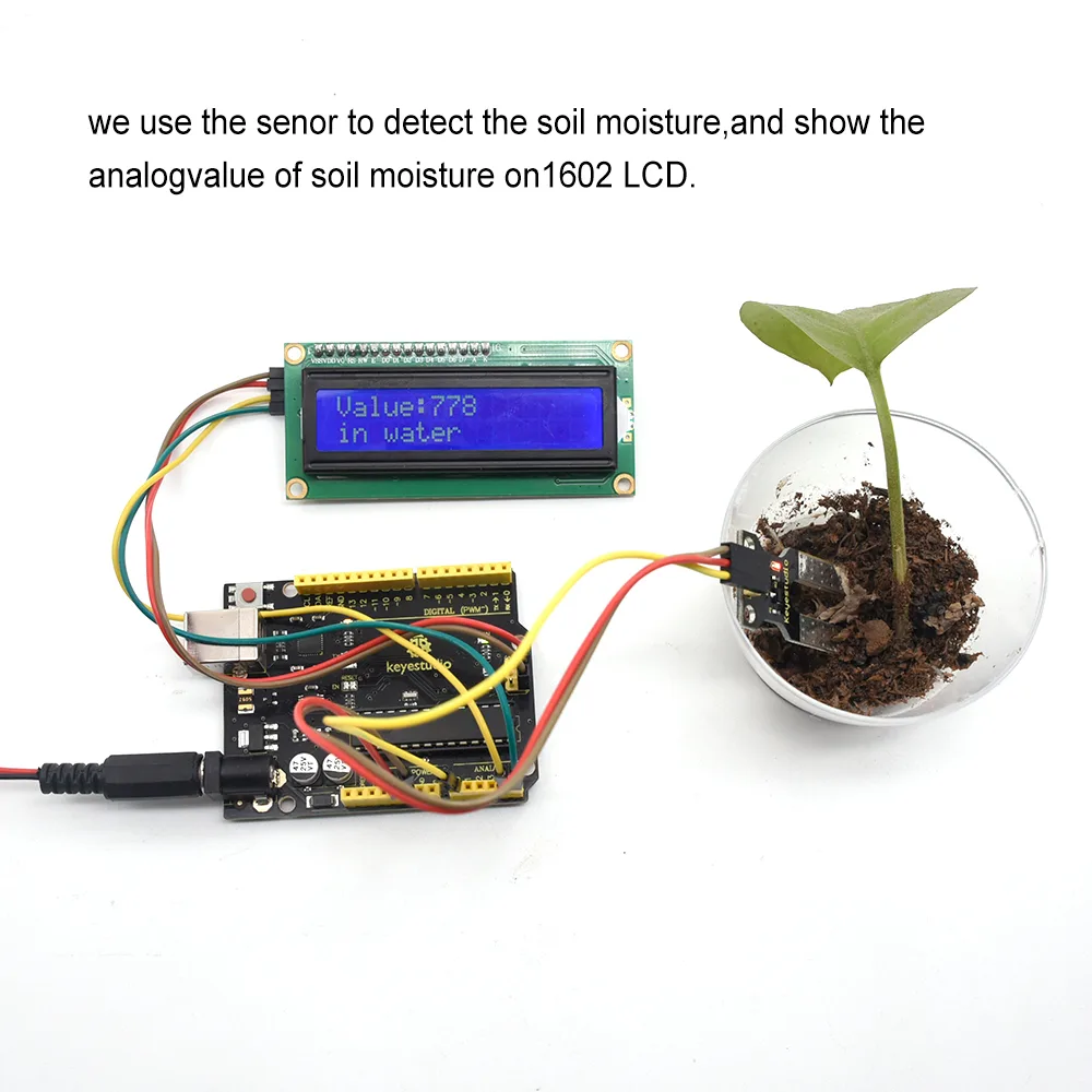Durable dual-probe design