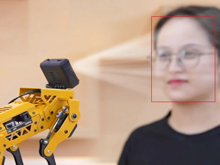 Intelligent vision recognition