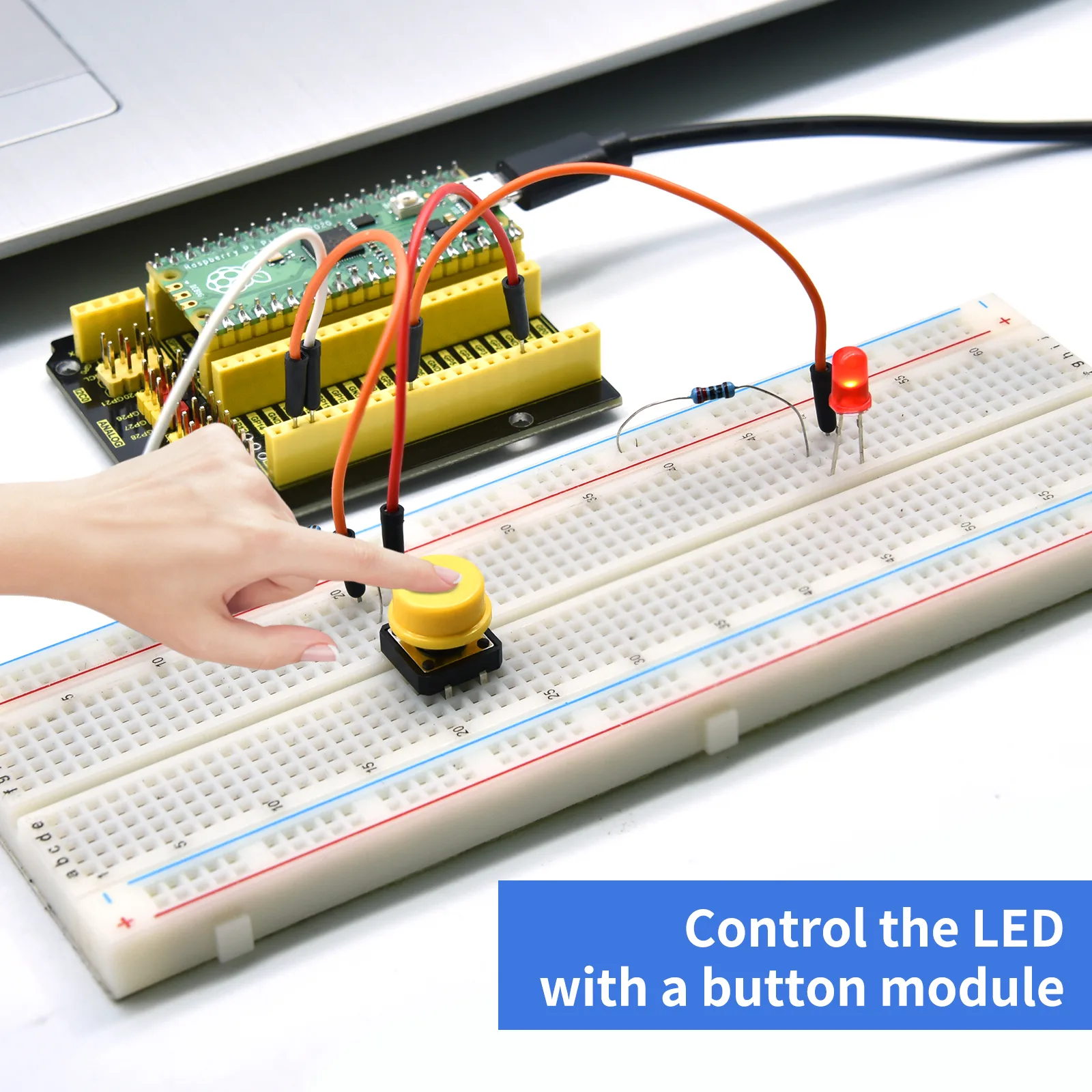 Comprehensive step-by-step tutorials