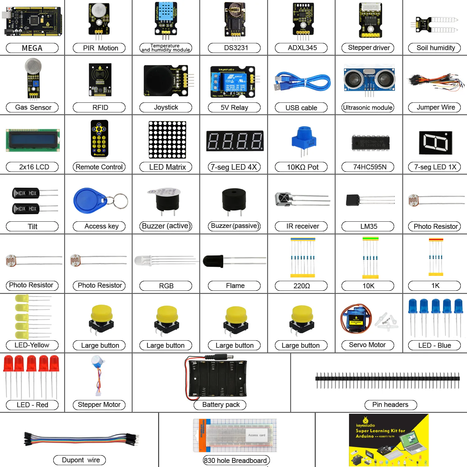 Thirty-two guided projects