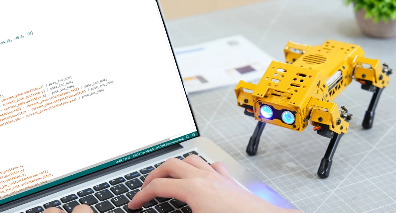 Intelligent vision and colour tracking