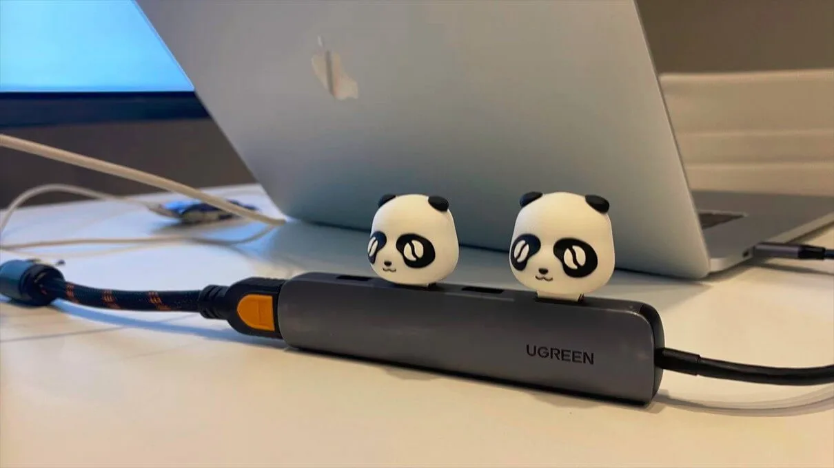 Distinctive LattePanda mascot casing