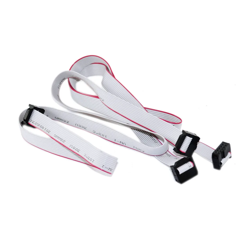 Two ten-pin gray cables