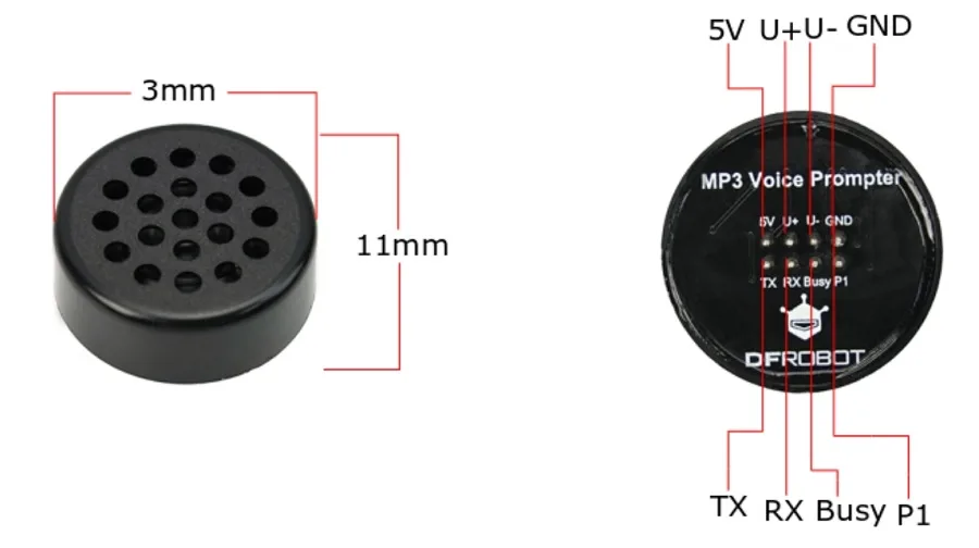 Multi-format decoding and DAC output