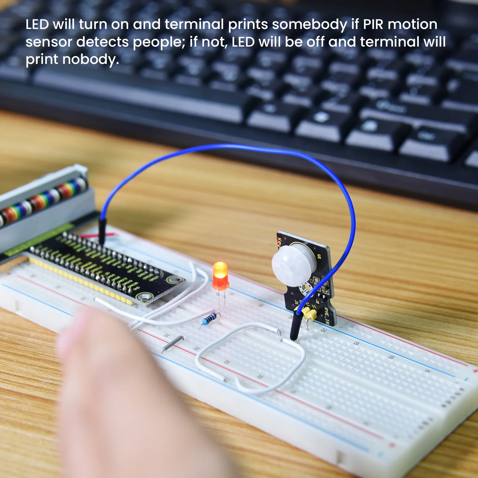 Build versatile microcomputer projects