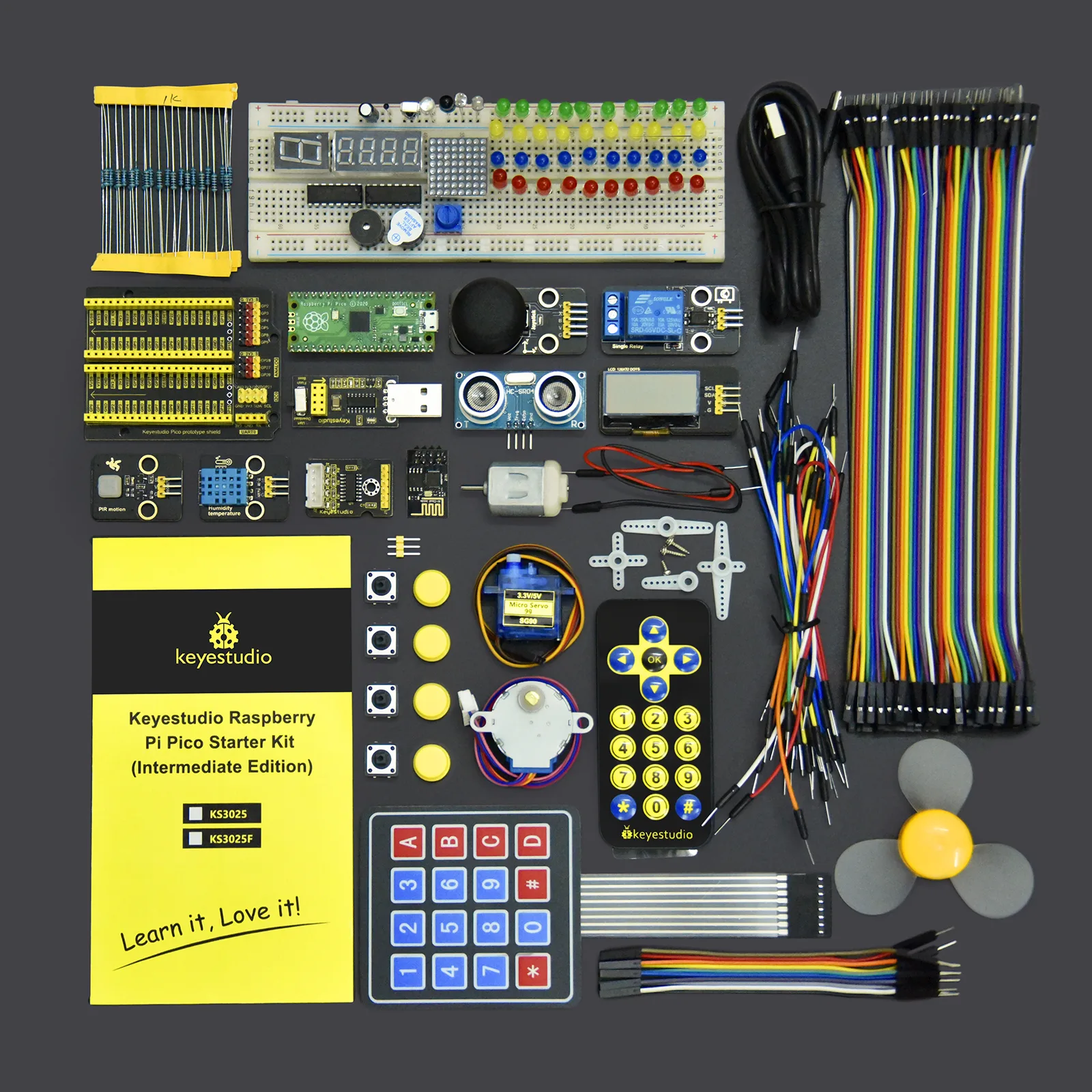 Dual programming environment support