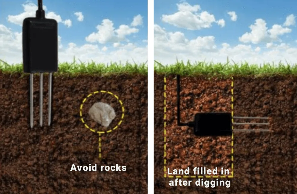 Proper installation and soil management