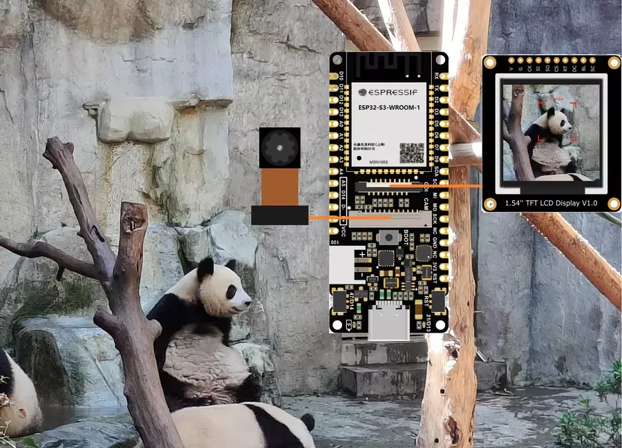 Dedicated camera interface and vision support