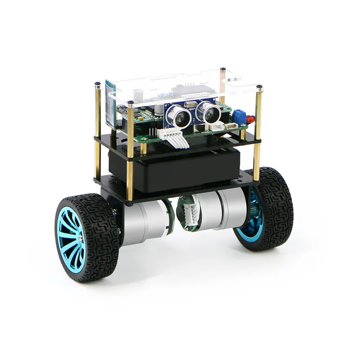 WHEELTEC STM32 Standard Edition Self-Balancing Robot