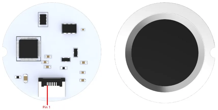 Autonomous on-chip recognition