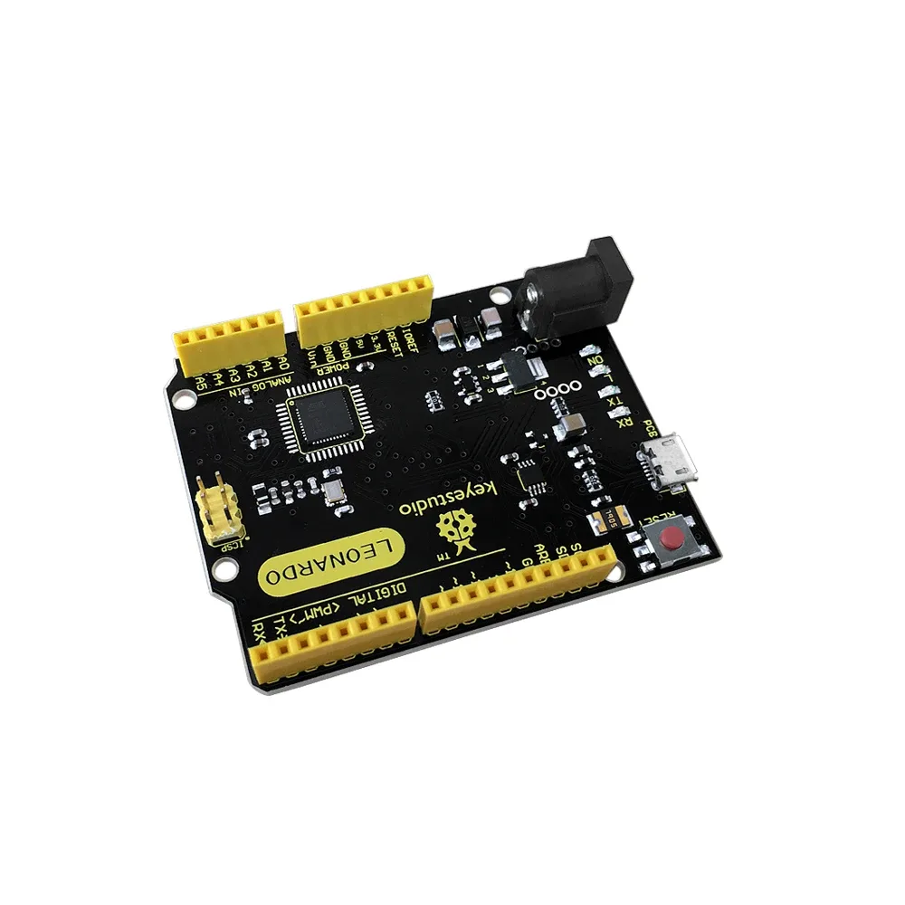 Versatile input and output pins